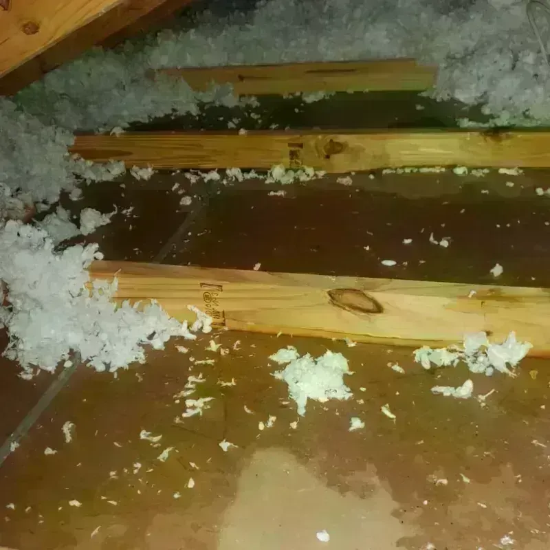 Attic Water Damage in Lovington, NM